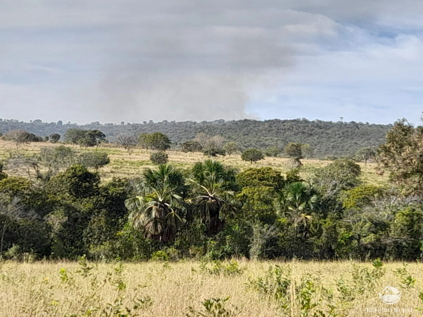 Fazenda à venda de 1.369 ha em Minaçu, GO, Brasil