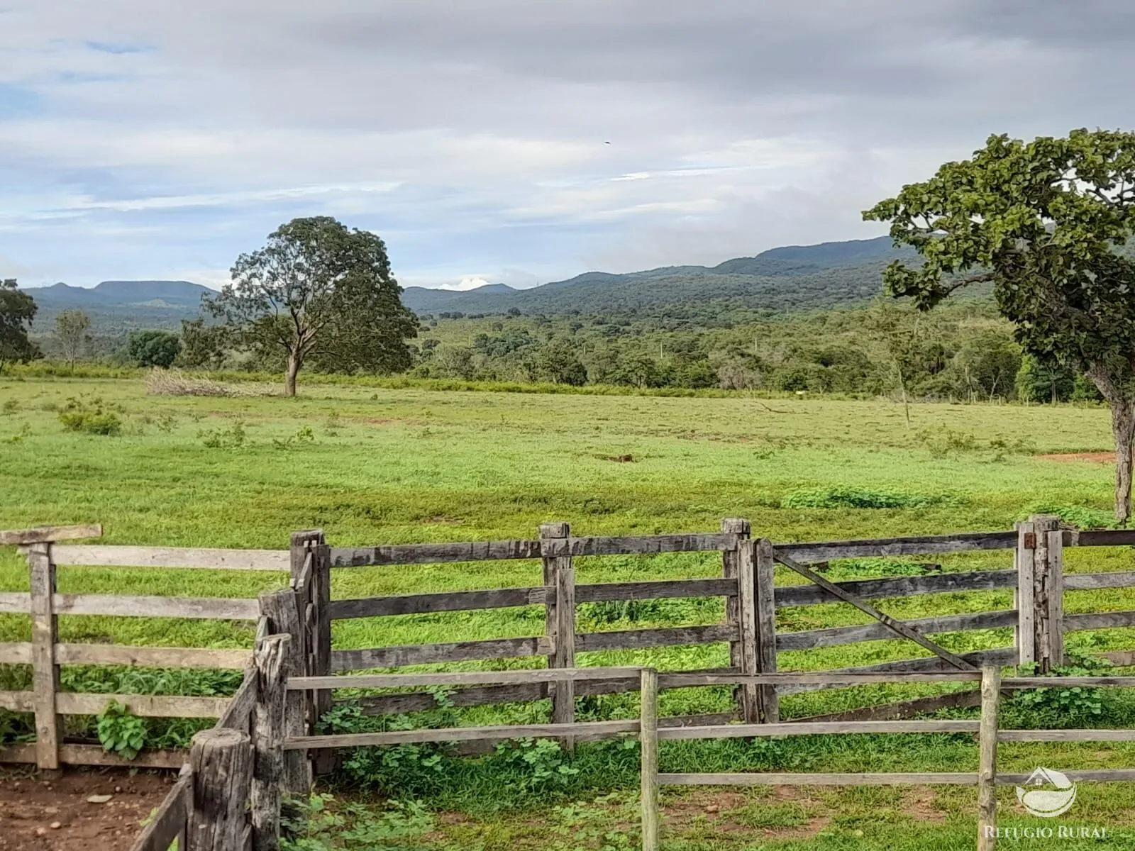 Fazenda à venda de 1.369 ha em Minaçu, GO, Brasil