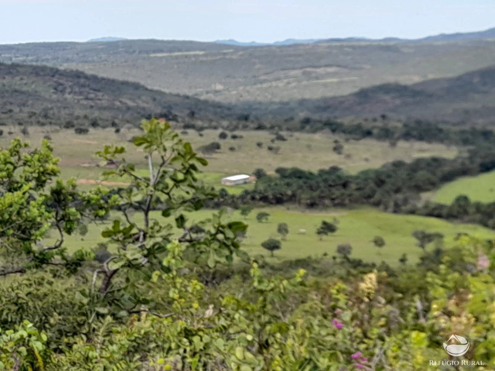 Fazenda à venda de 1.369 ha em Minaçu, GO, Brasil