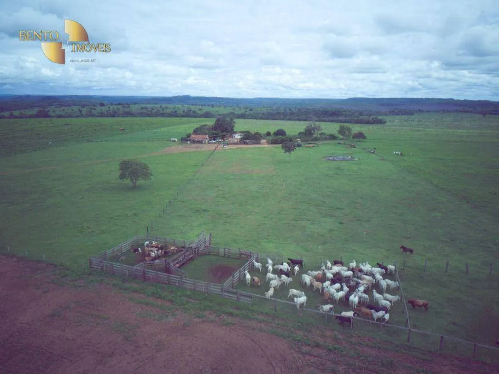 Farm for sale of 741 acres in Poxoréu, MT, Brazil