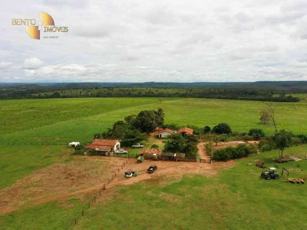 Fazenda à venda de 300 ha em Poxoréu, MT, Brasil
