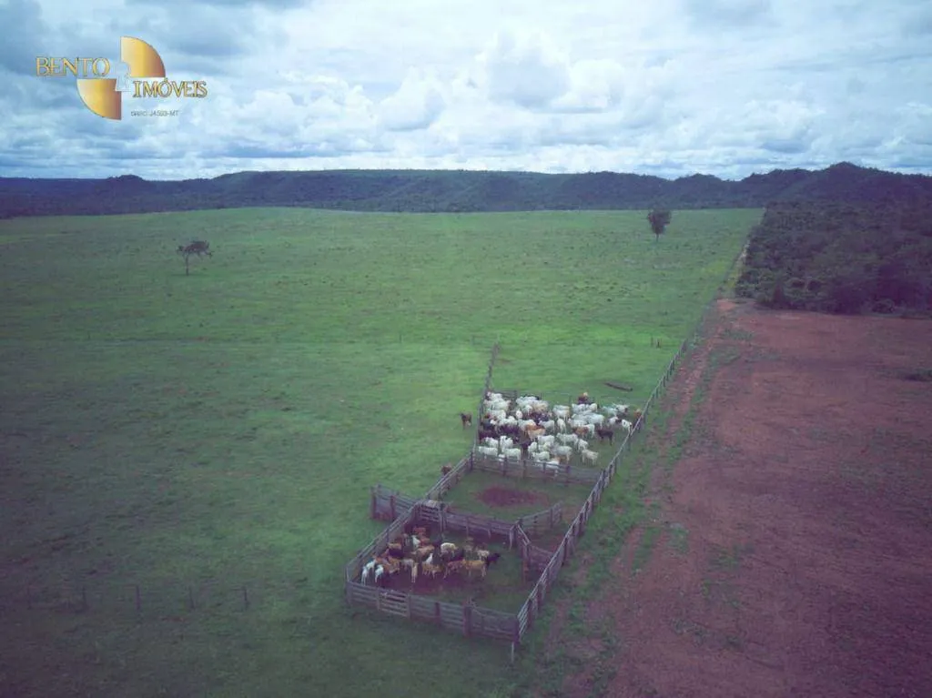 Farm for sale of 741 acres in Poxoréu, MT, Brazil