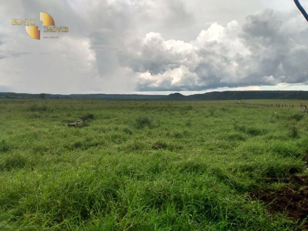 Farm for sale of 741 acres in Poxoréu, MT, Brazil
