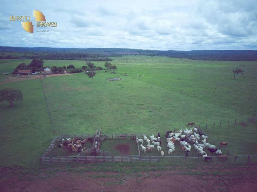 Farm for sale of 741 acres in Poxoréu, MT, Brazil