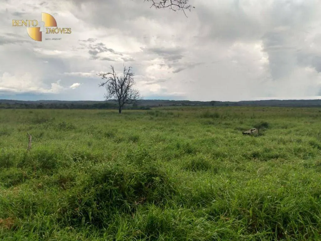 Farm for sale of 741 acres in Poxoréu, MT, Brazil