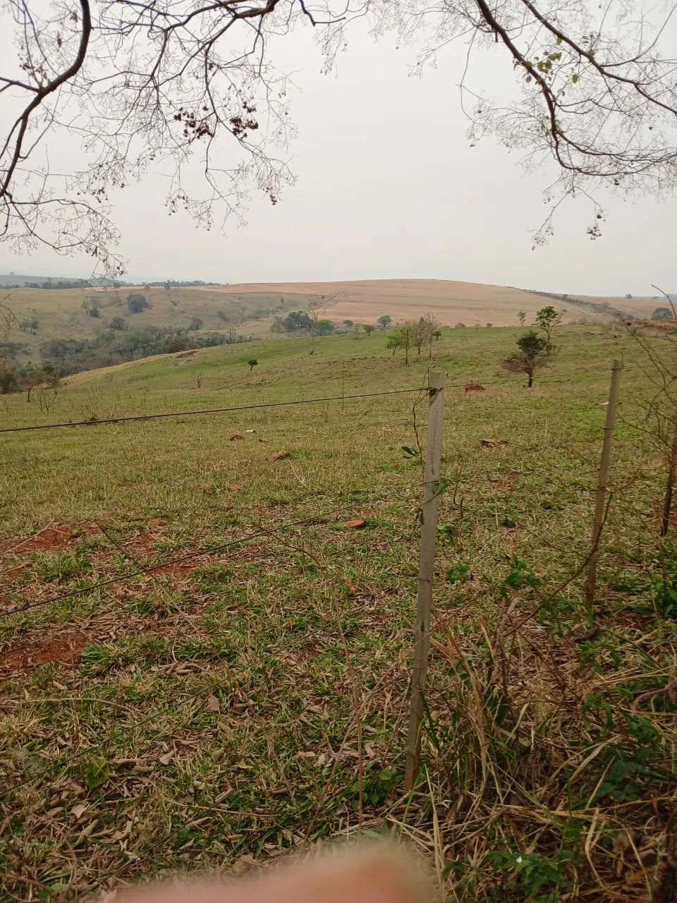 Fazenda à venda e para Arrendar de 435 ha em Piraju, SP, Brasil
