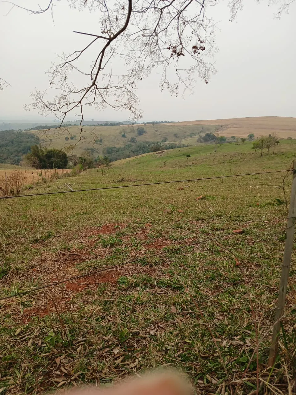 Fazenda à venda e para Arrendar de 435 ha em Piraju, SP, Brasil