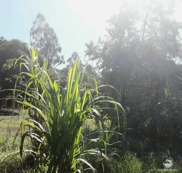 Plot for sale of 5 acres in Joanópolis, SP, Brazil