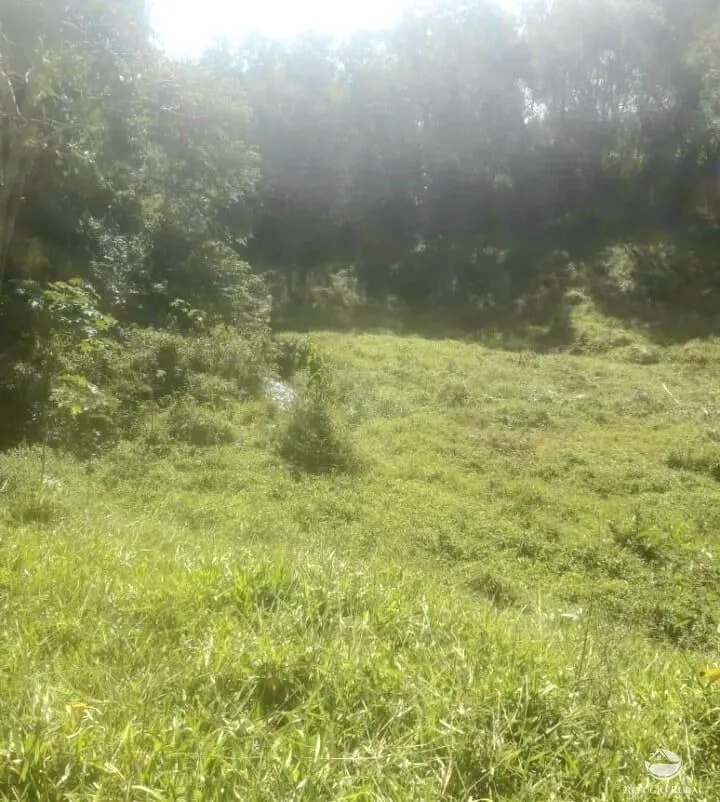 Plot for sale of 5 acres in Joanópolis, SP, Brazil