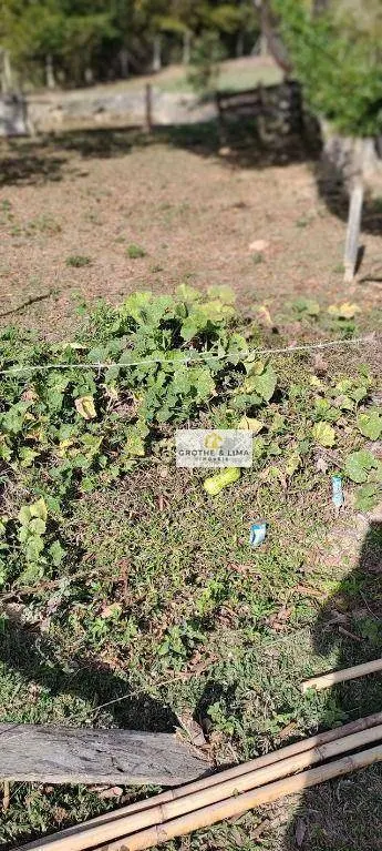 Chácara à venda de 2 ha em Jacareí, SP, Brasil