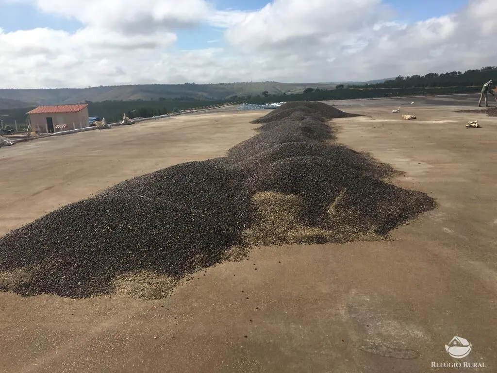 Fazenda à venda de 150 ha em Guimarânia, MG, Brasil