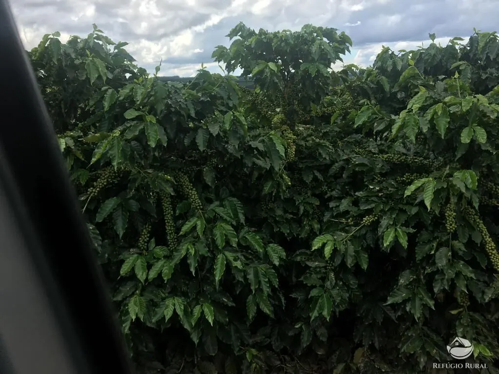Fazenda à venda de 150 ha em Guimarânia, MG, Brasil