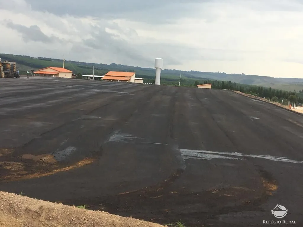 Fazenda à venda de 150 ha em Guimarânia, MG, Brasil