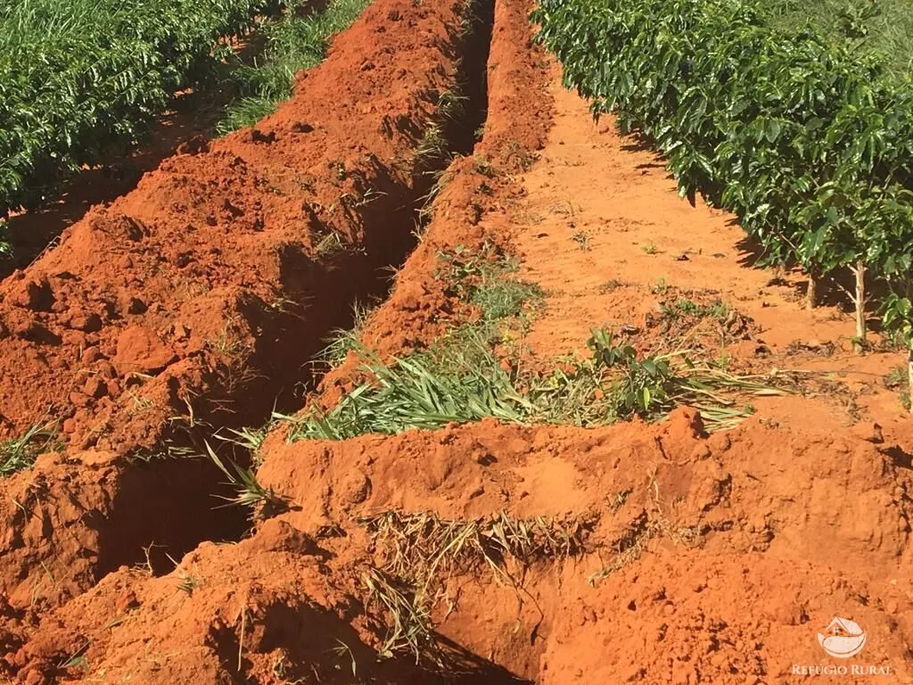 Fazenda à venda de 150 ha em Guimarânia, MG, Brasil