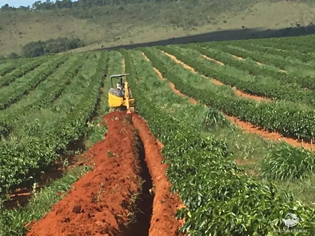 Fazenda à venda de 150 ha em Guimarânia, MG, Brasil