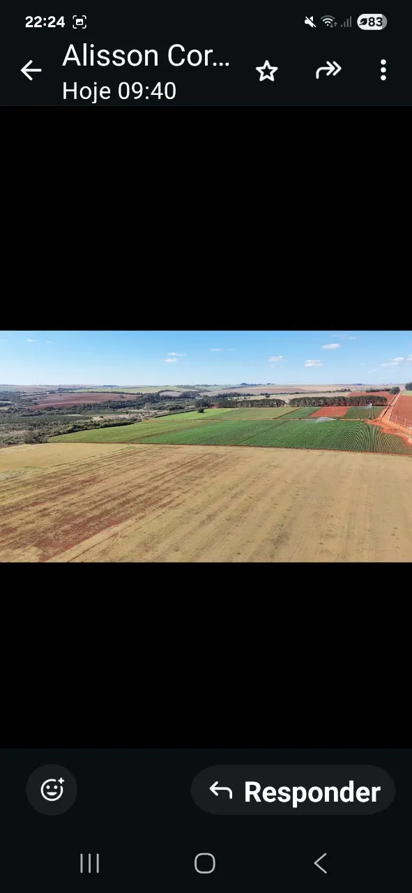 Fazenda à venda de 136 ha em Itapetininga, SP, Brasil
