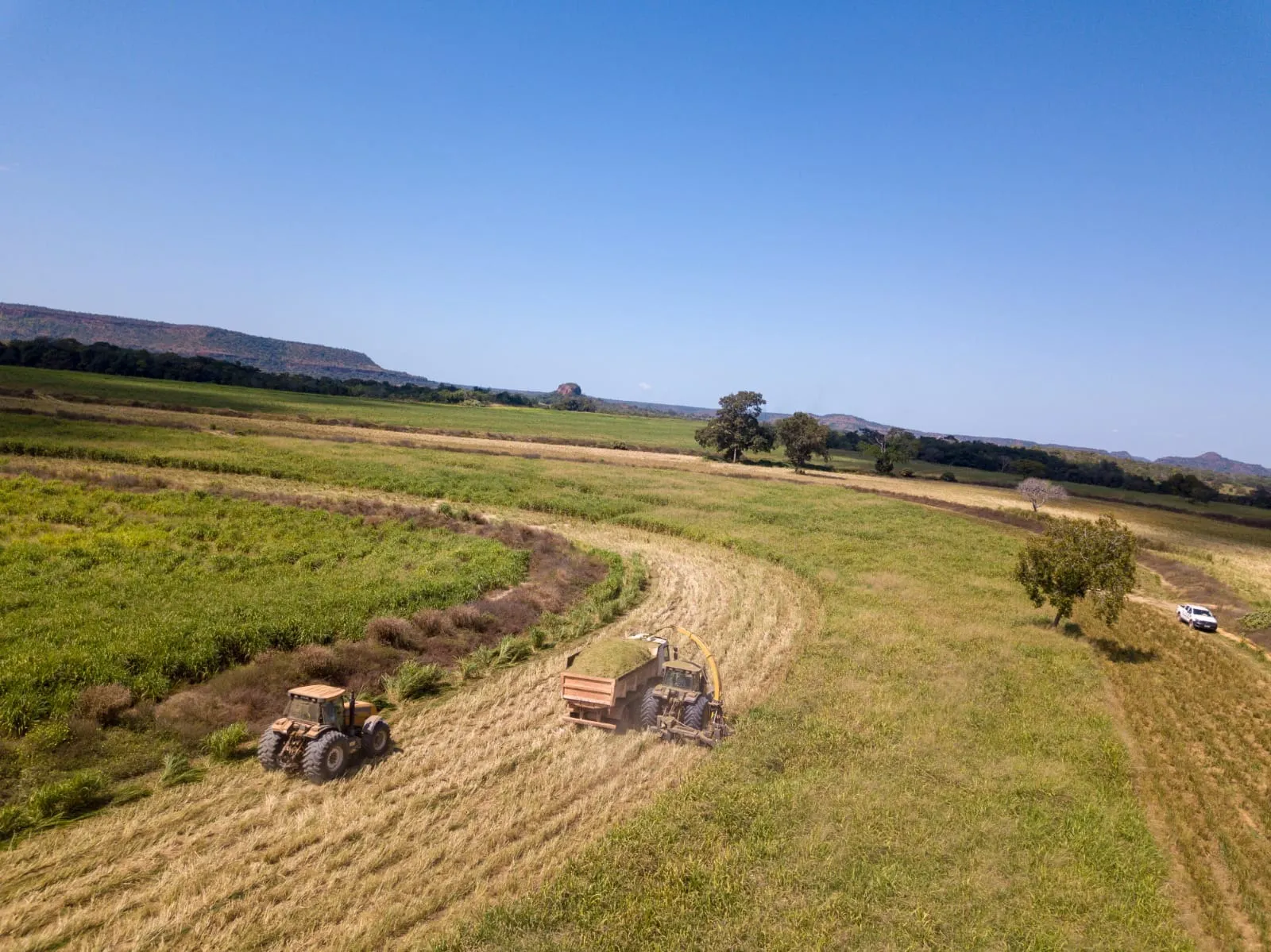 Fazenda à venda de 18.876 ha em Goiatins, TO, Brasil