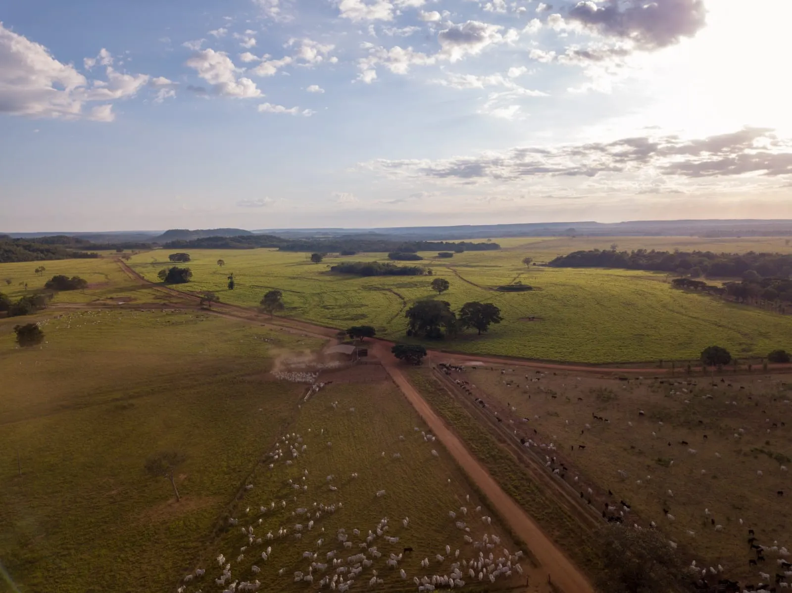 Fazenda à venda de 18.876 ha em Goiatins, TO, Brasil