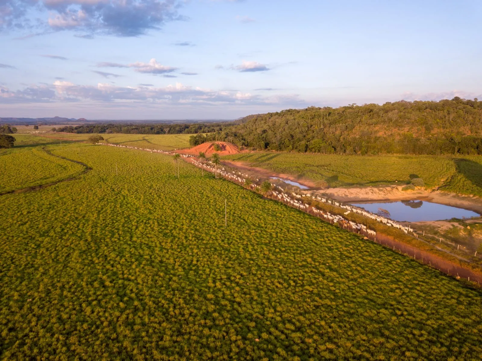 Fazenda à venda de 18.876 ha em Goiatins, TO, Brasil
