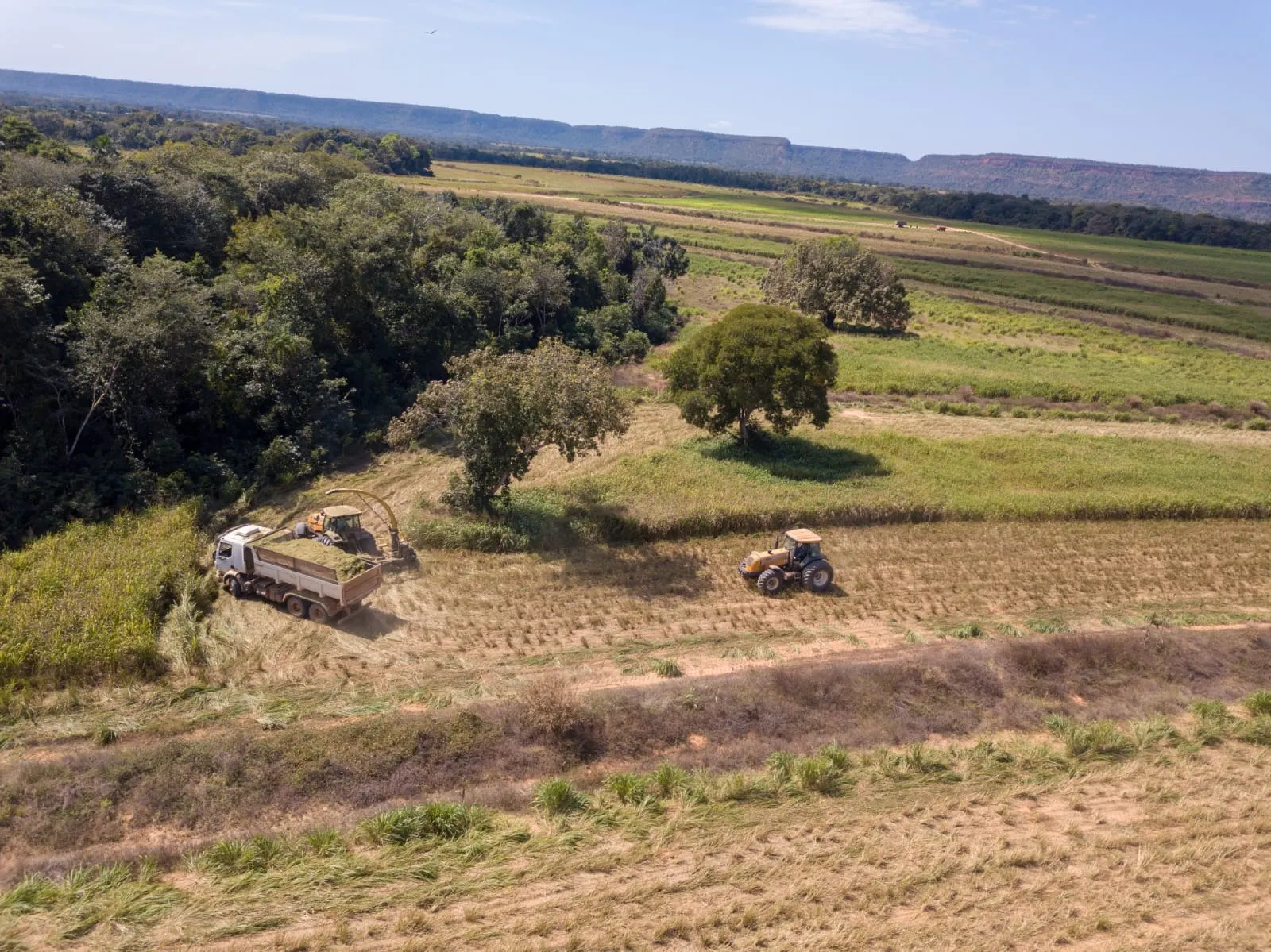 Fazenda à venda de 18.876 ha em Goiatins, TO, Brasil