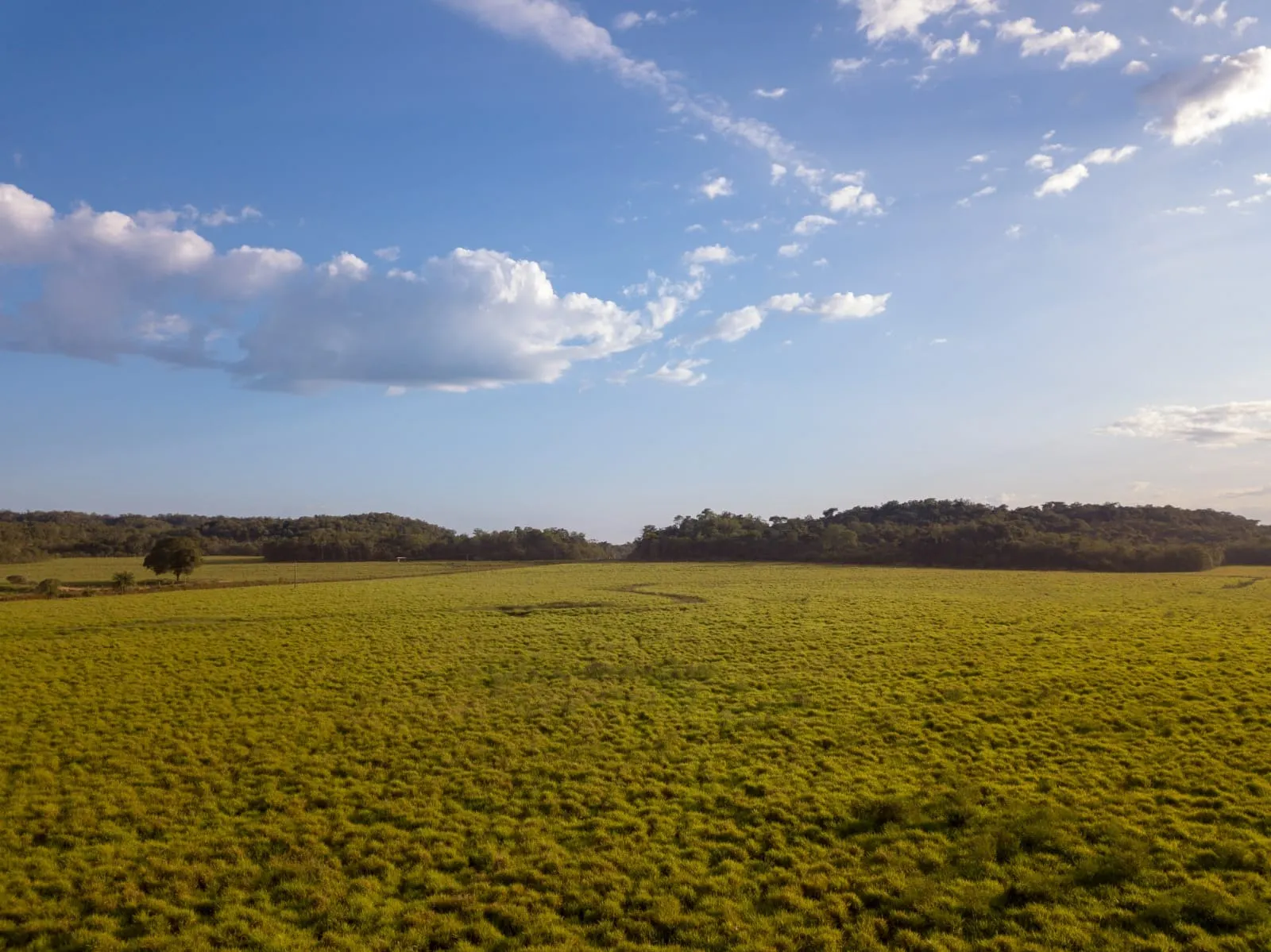Fazenda à venda de 18.876 ha em Goiatins, TO, Brasil