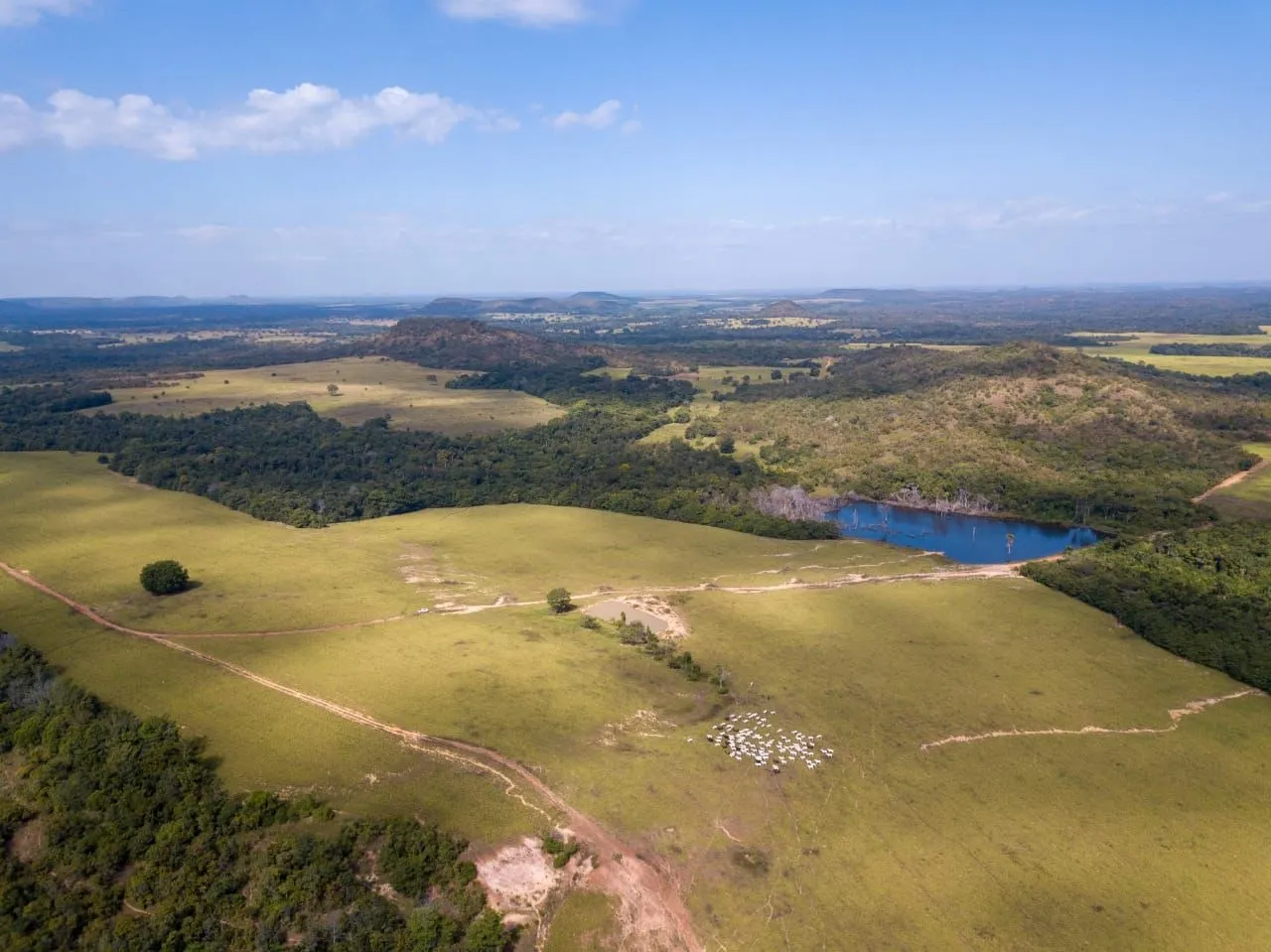 Fazenda à venda de 18.876 ha em Goiatins, TO, Brasil