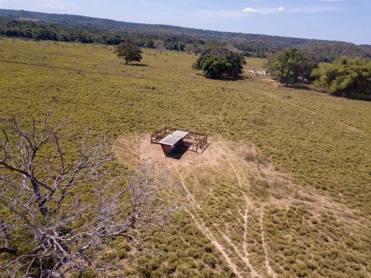 Fazenda à venda de 18.876 ha em Goiatins, TO, Brasil