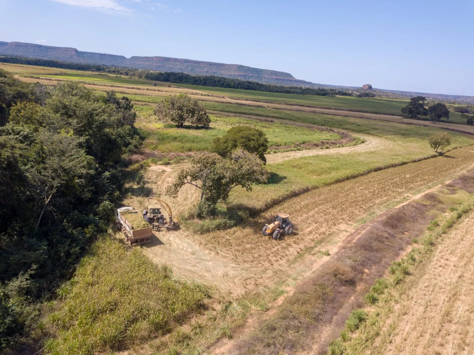 Fazenda à venda de 18.876 ha em Goiatins, TO, Brasil