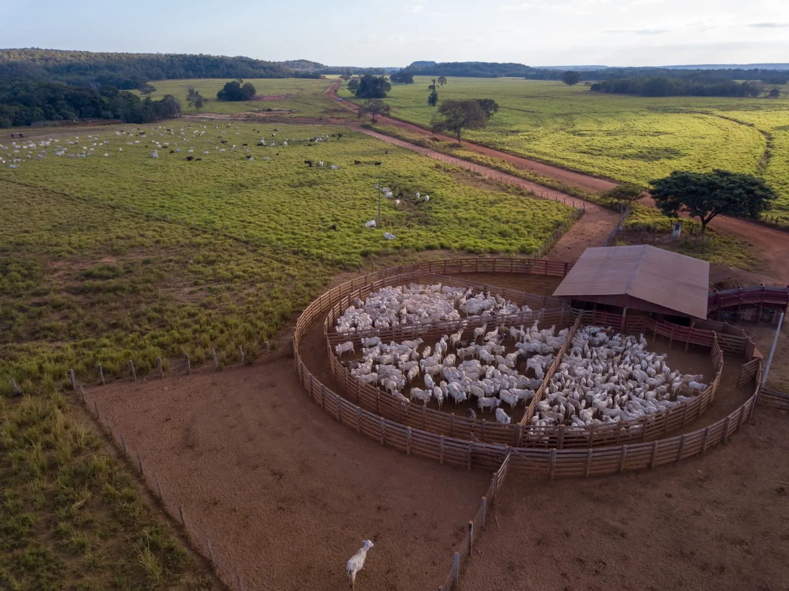 Fazenda à venda de 18.876 ha em Goiatins, TO, Brasil