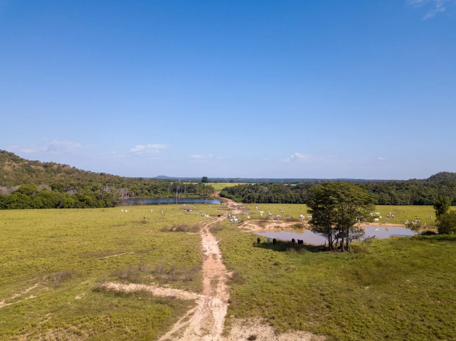 Fazenda à venda de 18.876 ha em Goiatins, TO, Brasil
