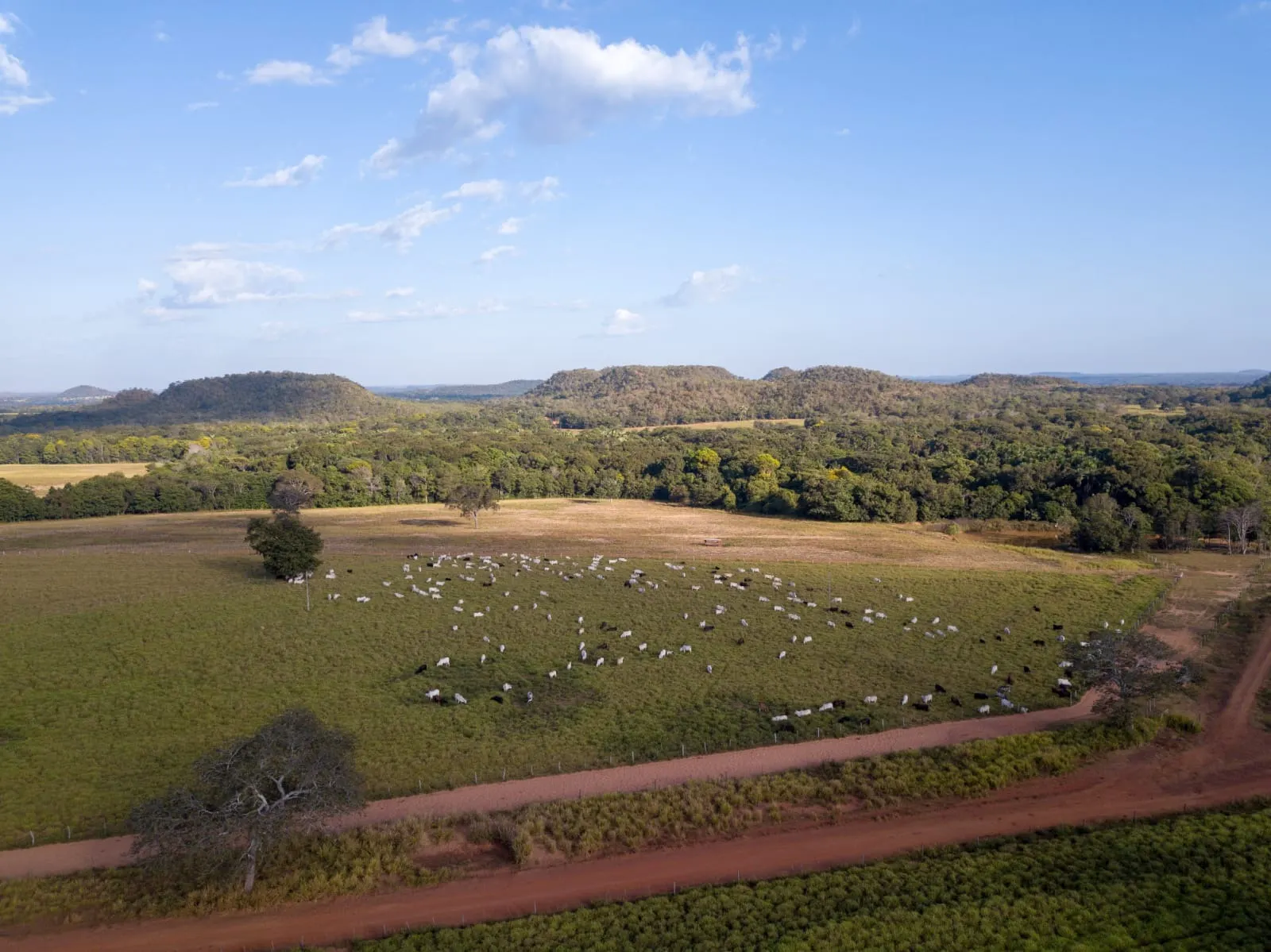 Fazenda à venda de 18.876 ha em Goiatins, TO, Brasil