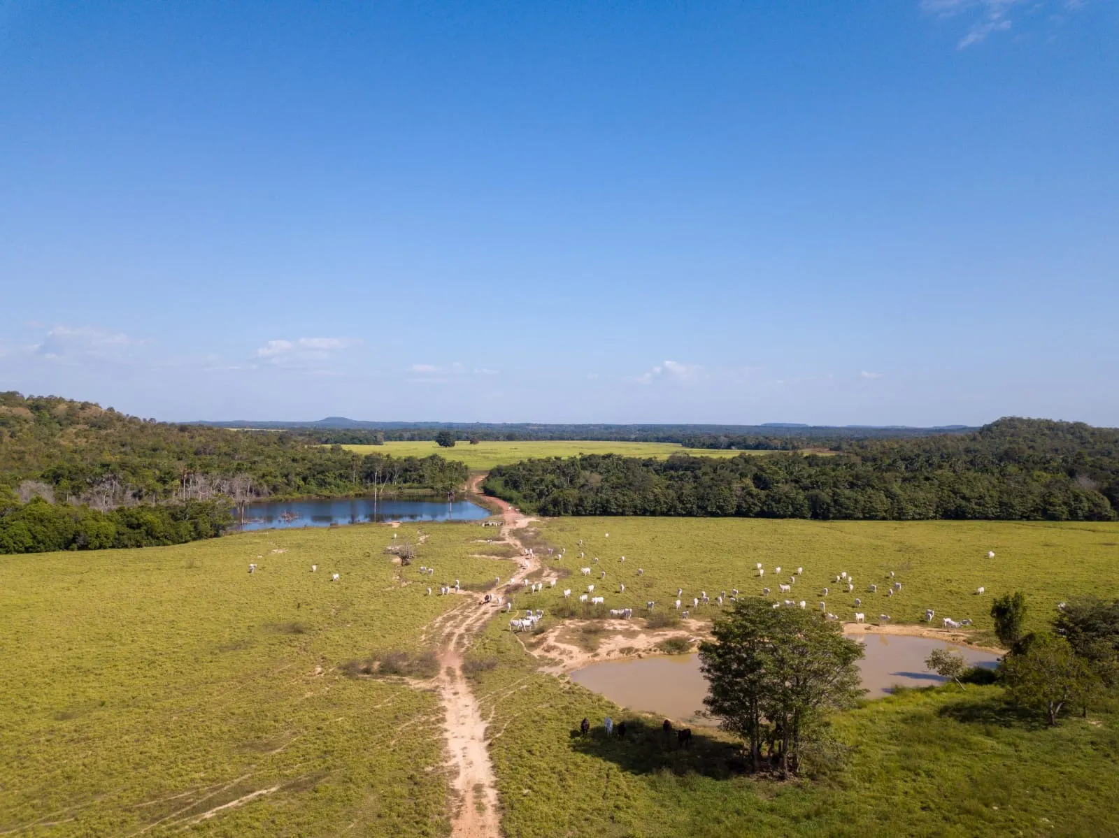 Fazenda à venda de 18.876 ha em Goiatins, TO, Brasil