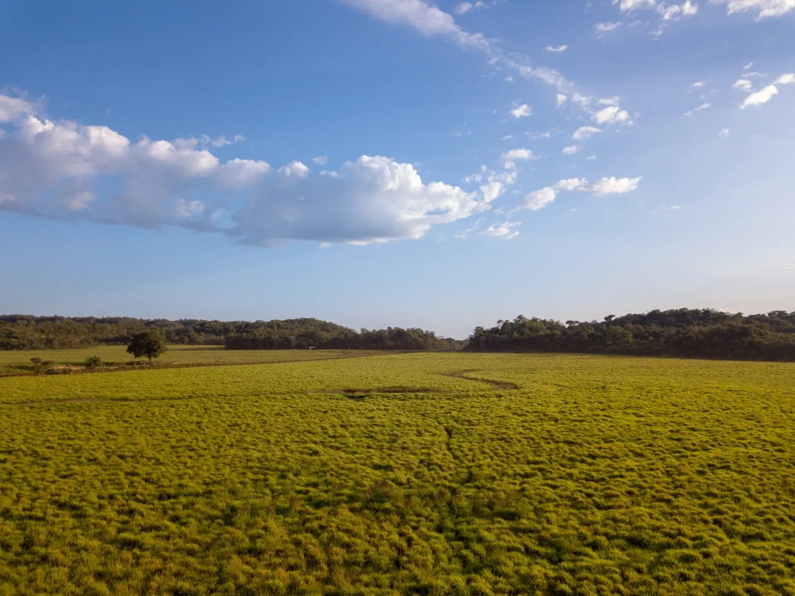 Fazenda à venda de 18.876 ha em Goiatins, TO, Brasil