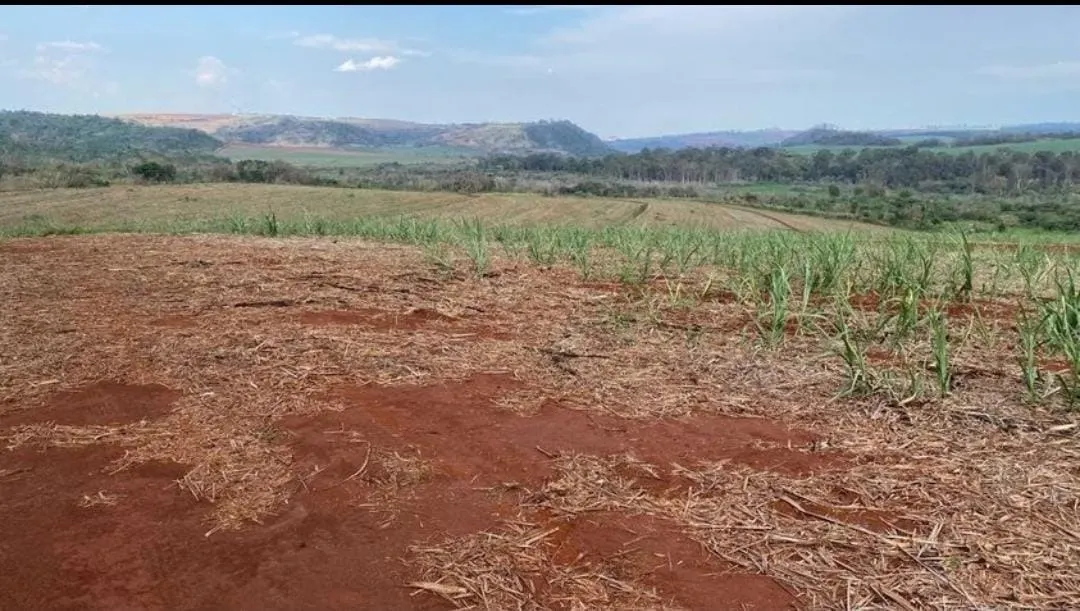 Farm for sale of 401 acres in São Carlos, SP, Brazil