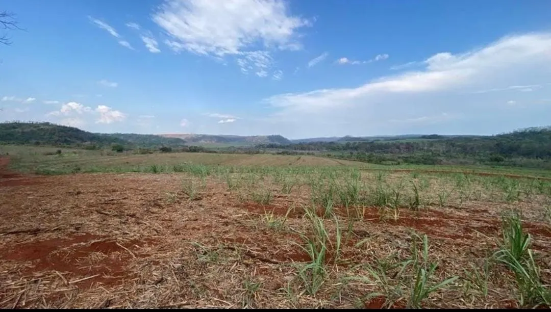 Farm for sale of 401 acres in São Carlos, SP, Brazil