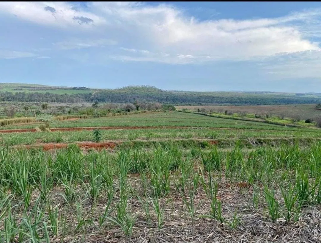 Farm for sale of 401 acres in São Carlos, SP, Brazil