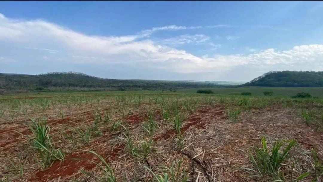 Farm for sale of 401 acres in São Carlos, SP, Brazil