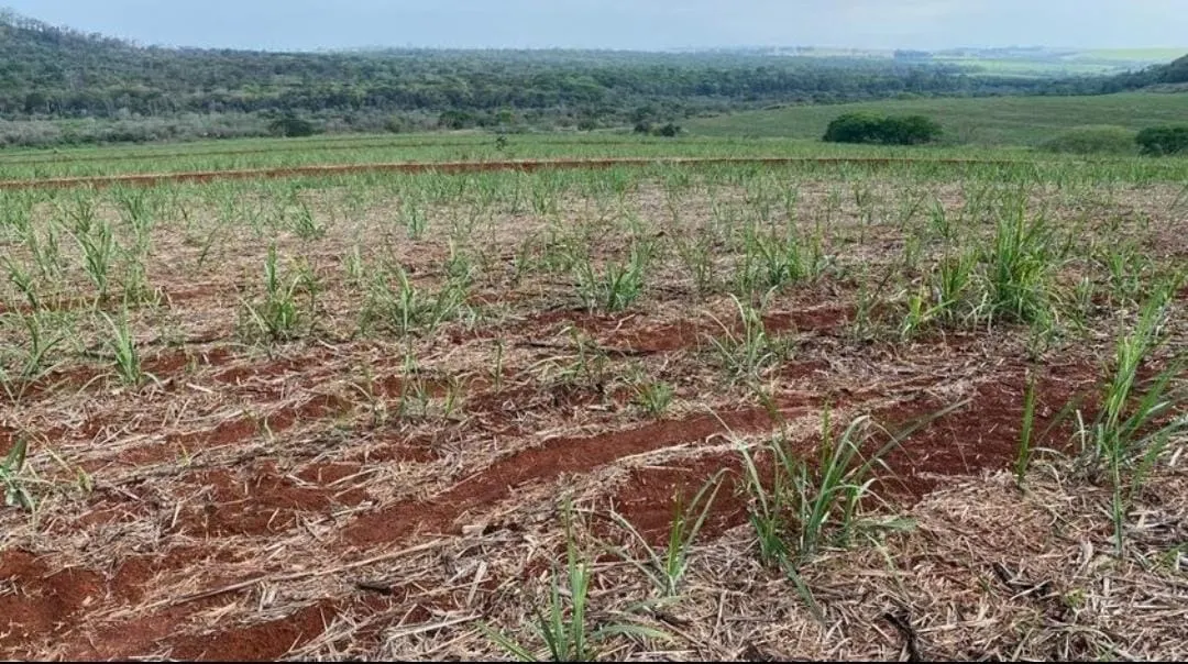 Fazenda à venda de 162 ha em São Carlos, SP, Brasil
