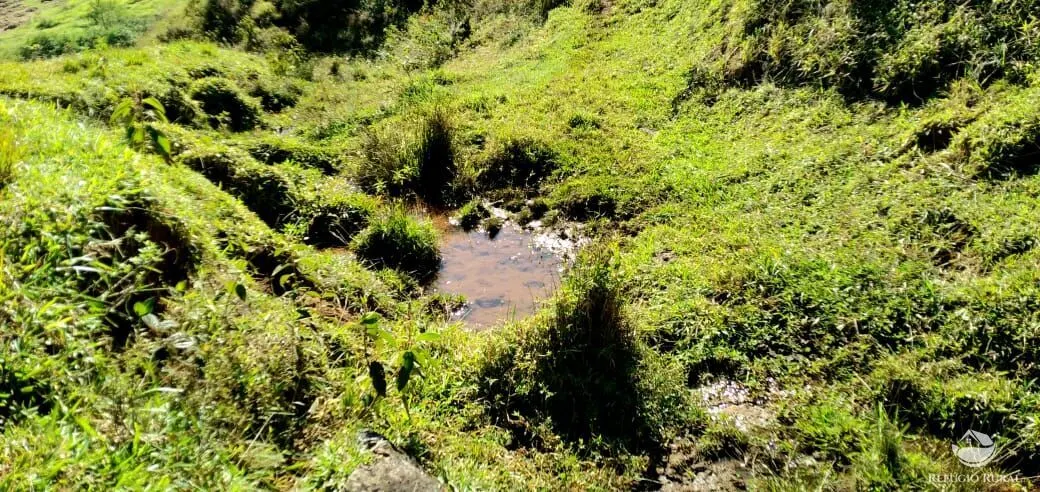 Sítio à venda de 12 ha em São José dos Campos, SP, Brasil