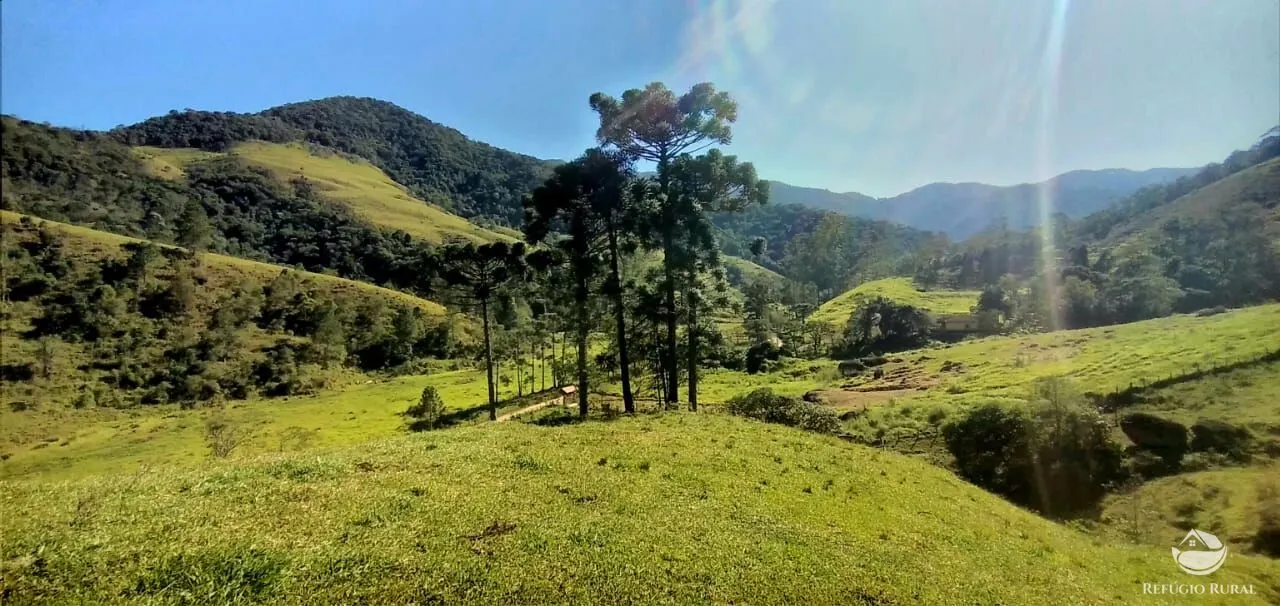 Sítio à venda de 12 ha em São José dos Campos, SP, Brasil
