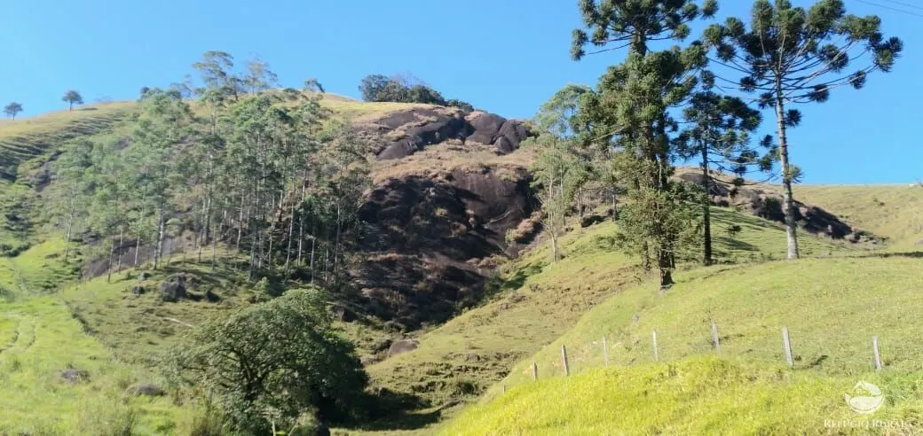 Sítio à venda de 12 ha em São José dos Campos, SP, Brasil