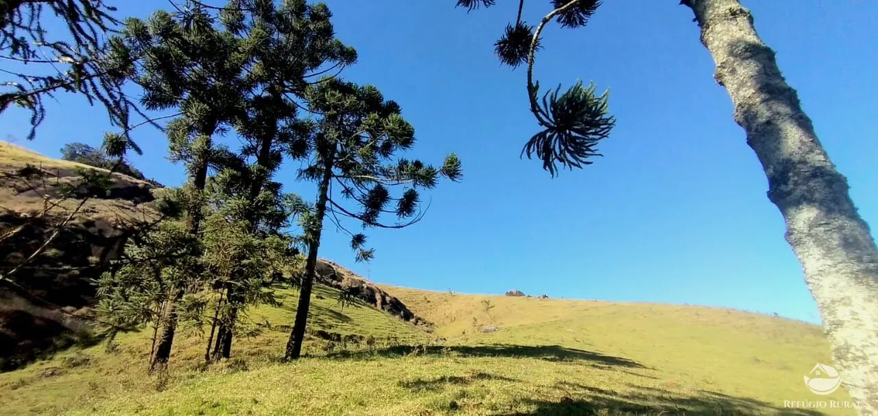 Sítio à venda de 12 ha em São José dos Campos, SP, Brasil