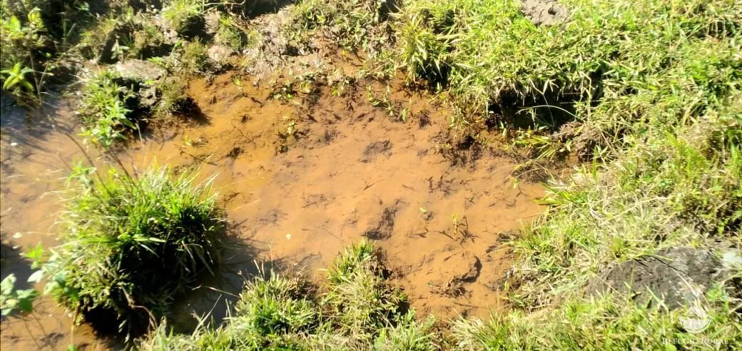 Sítio à venda de 12 ha em São José dos Campos, SP, Brasil