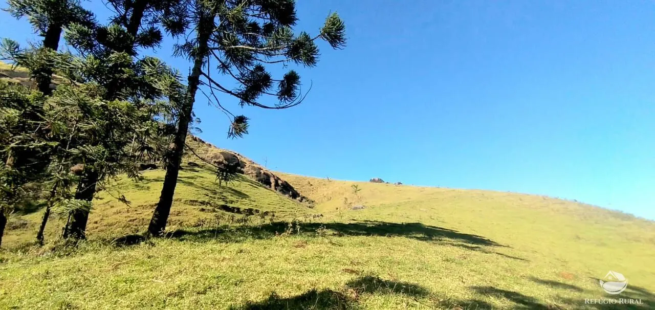 Sítio à venda de 12 ha em São José dos Campos, SP, Brasil