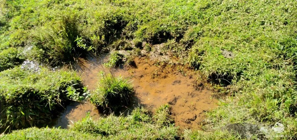Sítio à venda de 12 ha em São José dos Campos, SP, Brasil