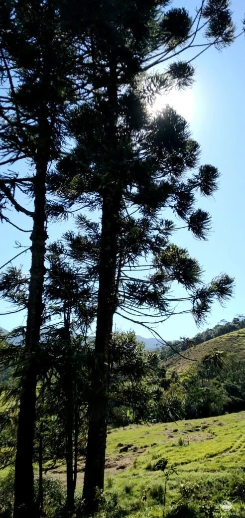Sítio à venda de 12 ha em São José dos Campos, SP, Brasil
