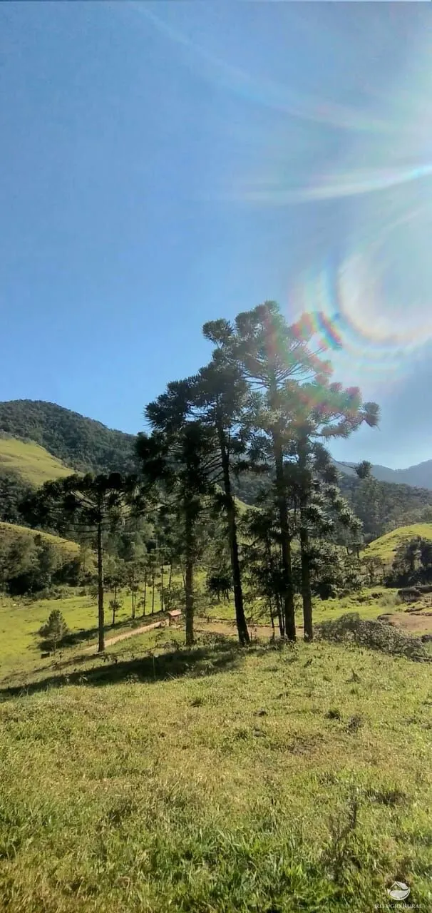 Sítio à venda de 12 ha em São José dos Campos, SP, Brasil