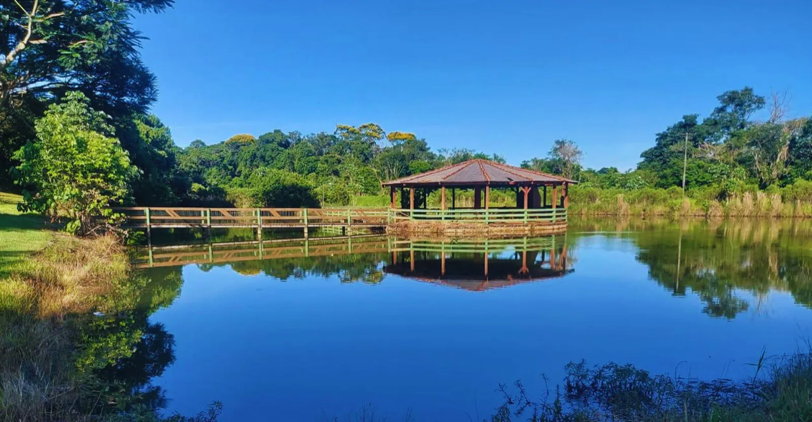 Fazenda à venda de 300 ha em Foz do Iguaçu, PR, Brasil