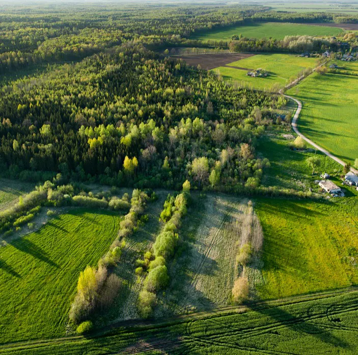 Fazenda à venda de 300 ha em Foz do Iguaçu, PR, Brasil