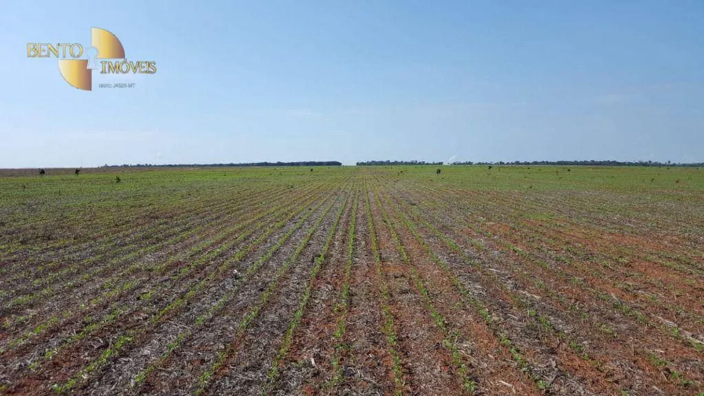 Farm for sale of 8,896 acres in Gaúcha do Norte, MT, Brazil